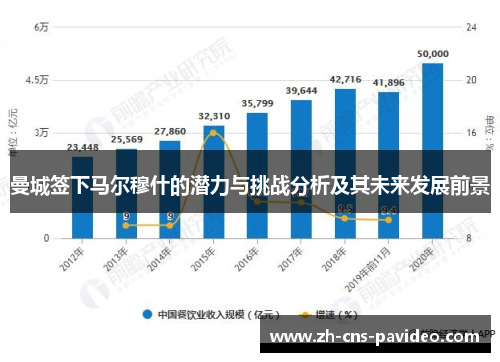 曼城签下马尔穆什的潜力与挑战分析及其未来发展前景 曼城签下马尔穆什的潜力与挑战分析及其未来发展前景