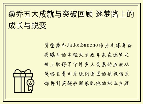 桑乔五大成就与突破回顾 逐梦路上的成长与蜕变